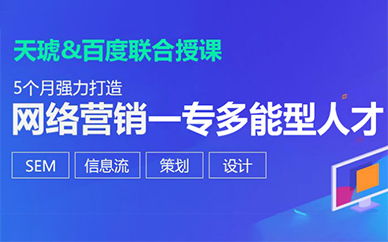 重庆网络营销工程师培训 重庆网络营销工程师培训机构 学校 哪家好 重庆天琥教育